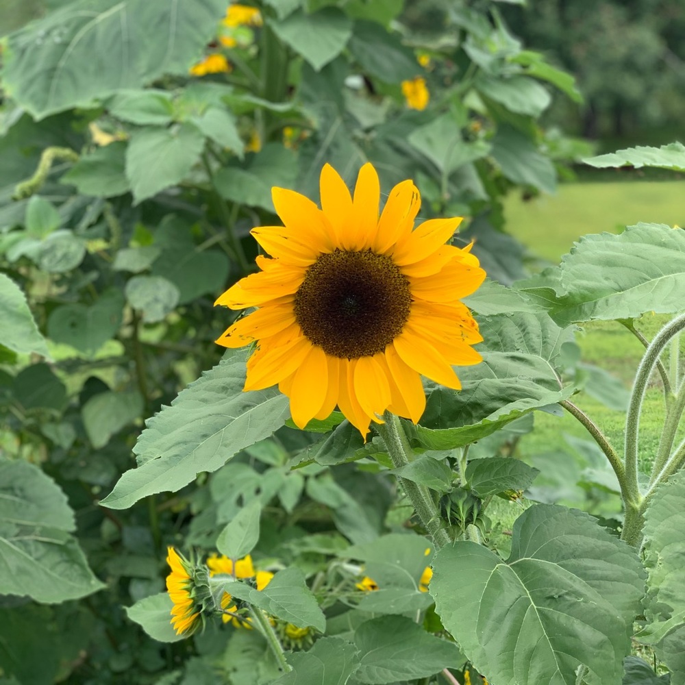 Meet your Posher, Charlene